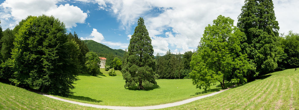 Rimske Terme - Hotel Zdraviliski Dvor Rimske Toplice Buitenkant foto